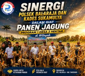 Sinergi Polsek Balaraja dan Kades Sukamulya dalam Giat Panen Jagung Program 1 Desa 2 Hektar di Wilayah